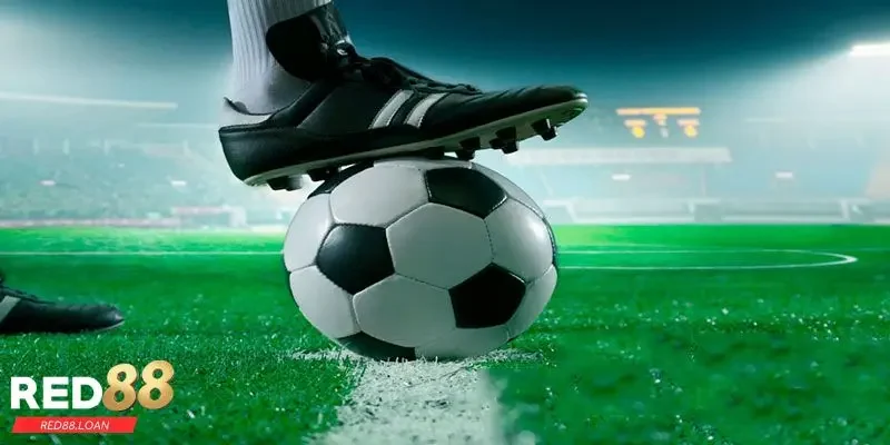 chiến thuật cá độ bóng đá chiến thuật cá độ bóng đá